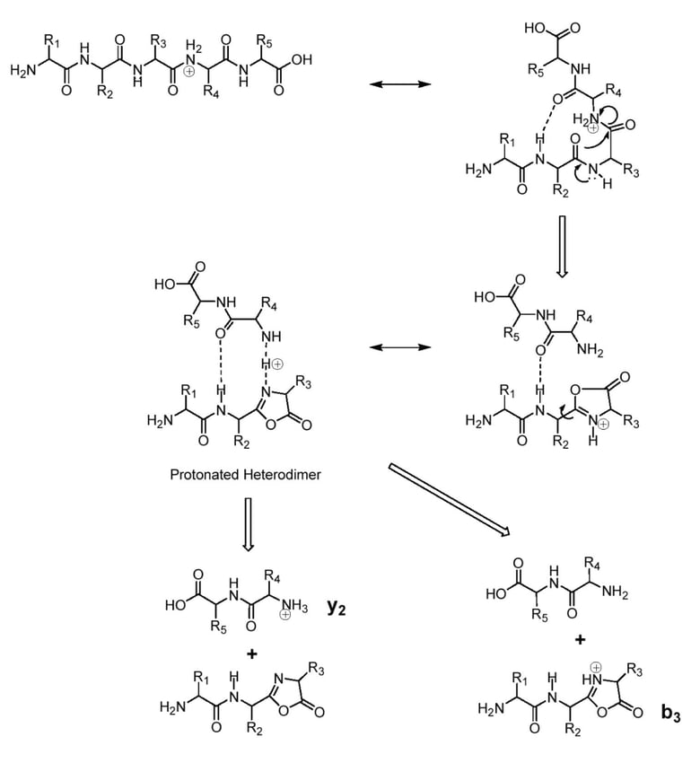 The Importance of MultipleCharge Ion Precursors in Peptide MS/MS